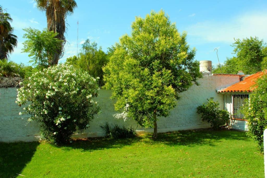Вилла Big Beautiful House With Garden In 5Ta Seccion Neighbourhood Мендоса Экстерьер фото